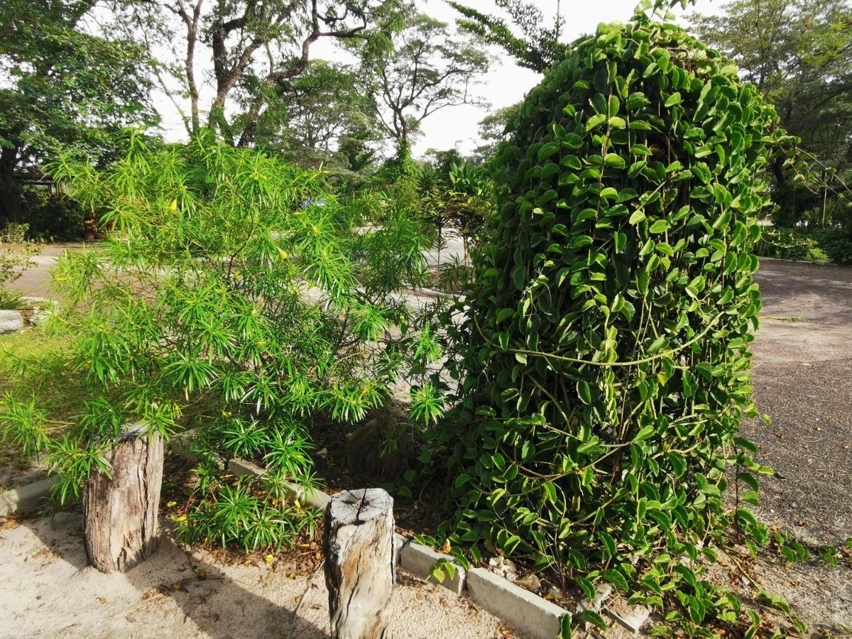 Happy Forest B&B Katima Mulilo Exteriér fotografie