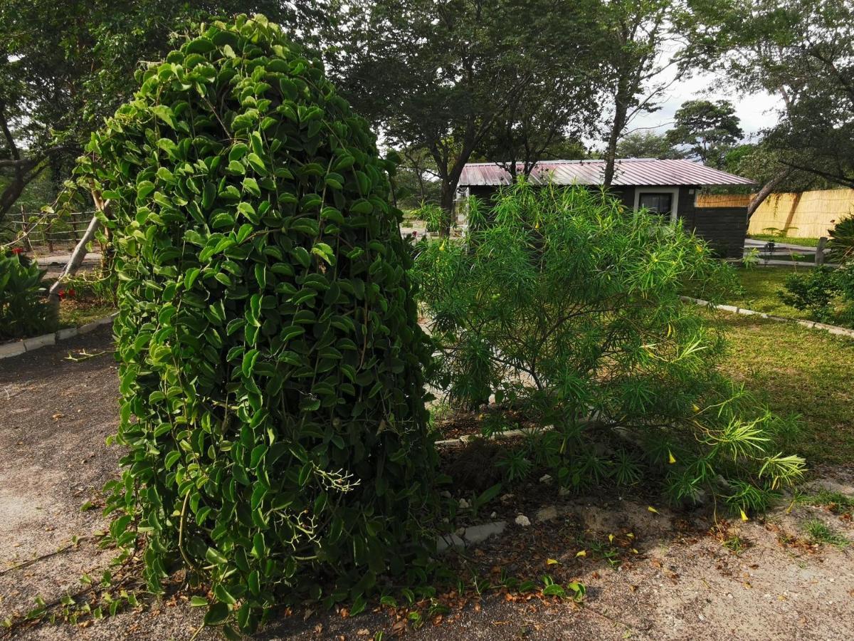 Happy Forest B&B Katima Mulilo Exteriér fotografie