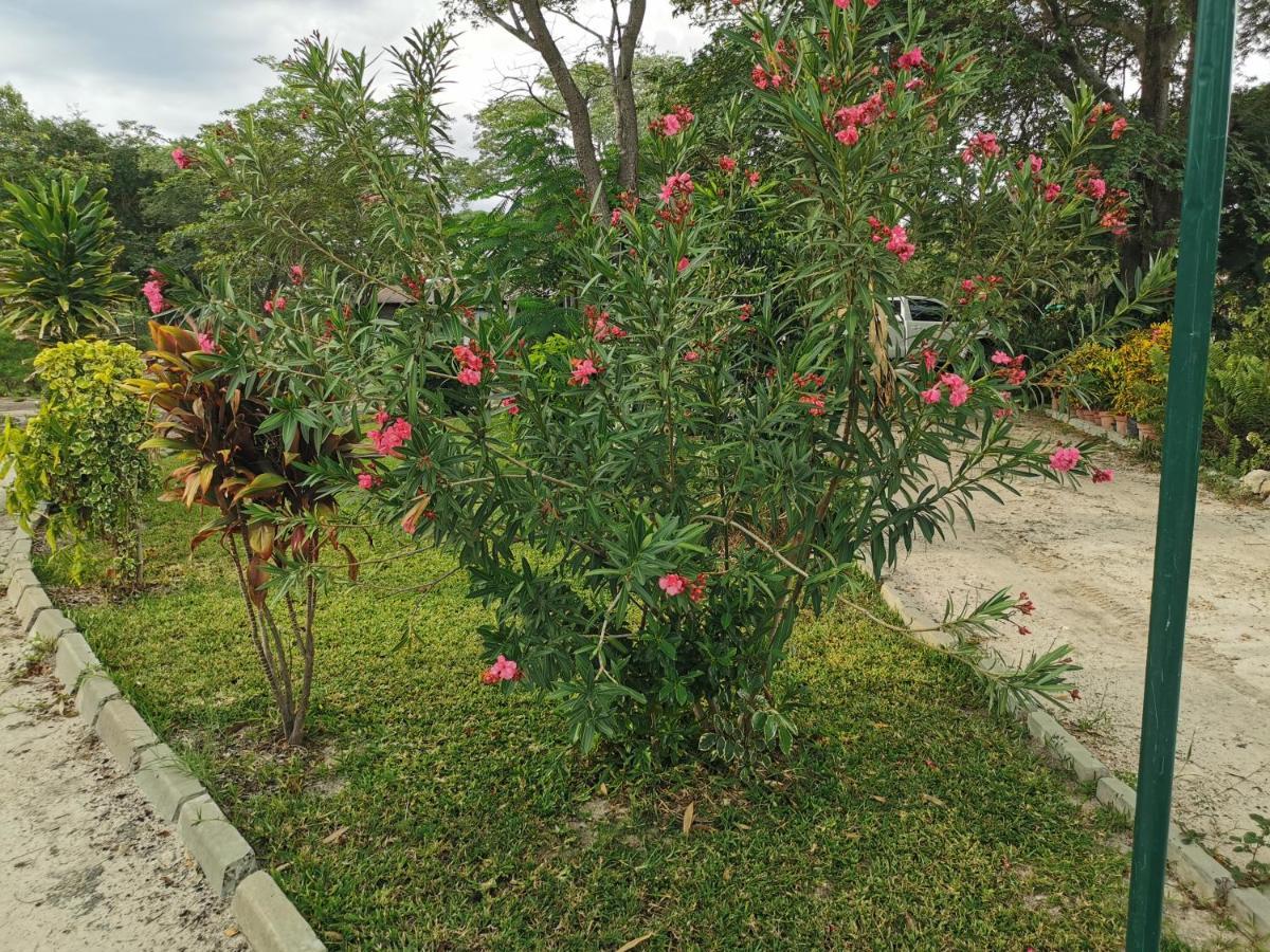 Happy Forest B&B Katima Mulilo Exteriér fotografie