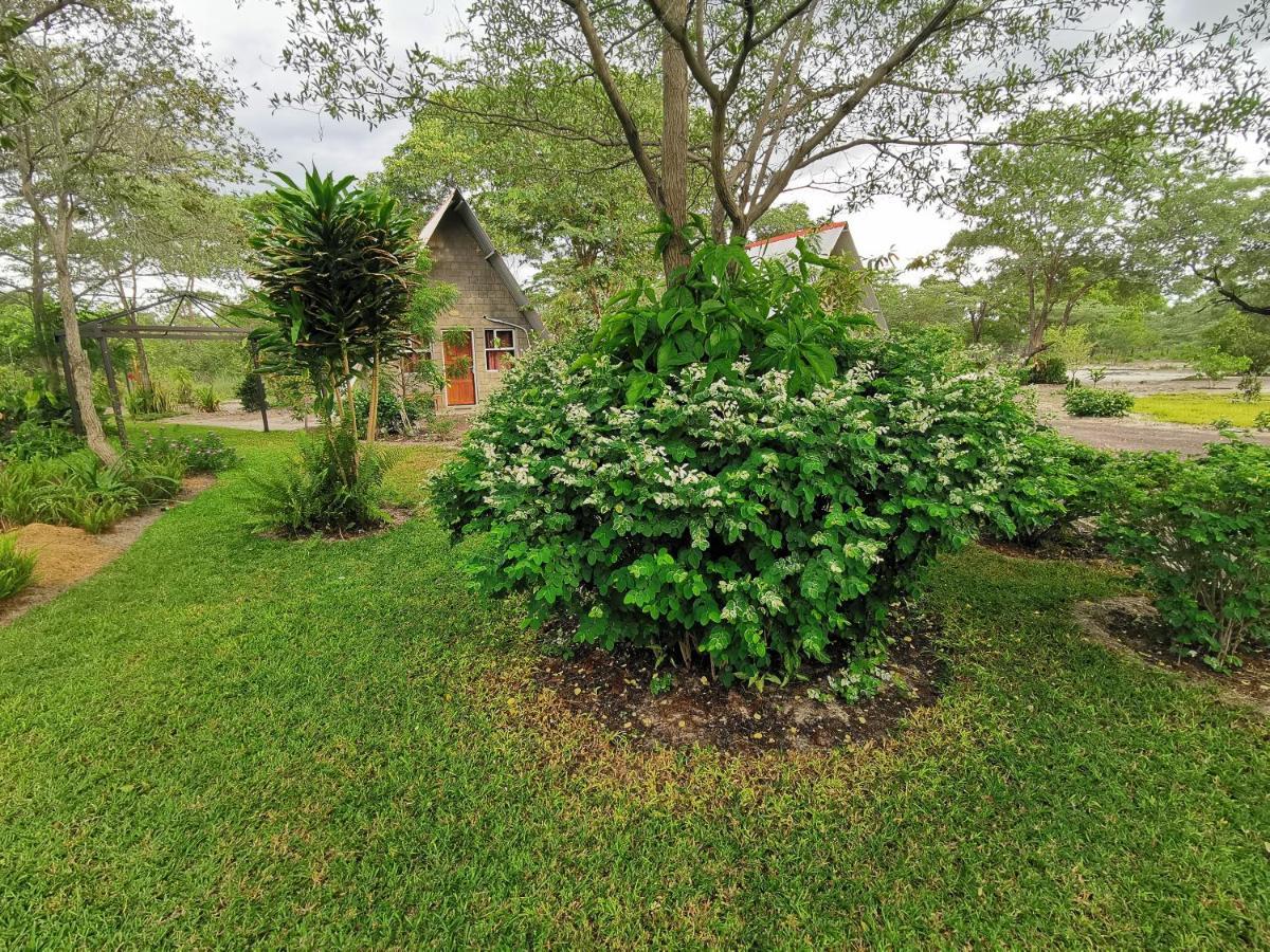 Happy Forest B&B Katima Mulilo Exteriér fotografie