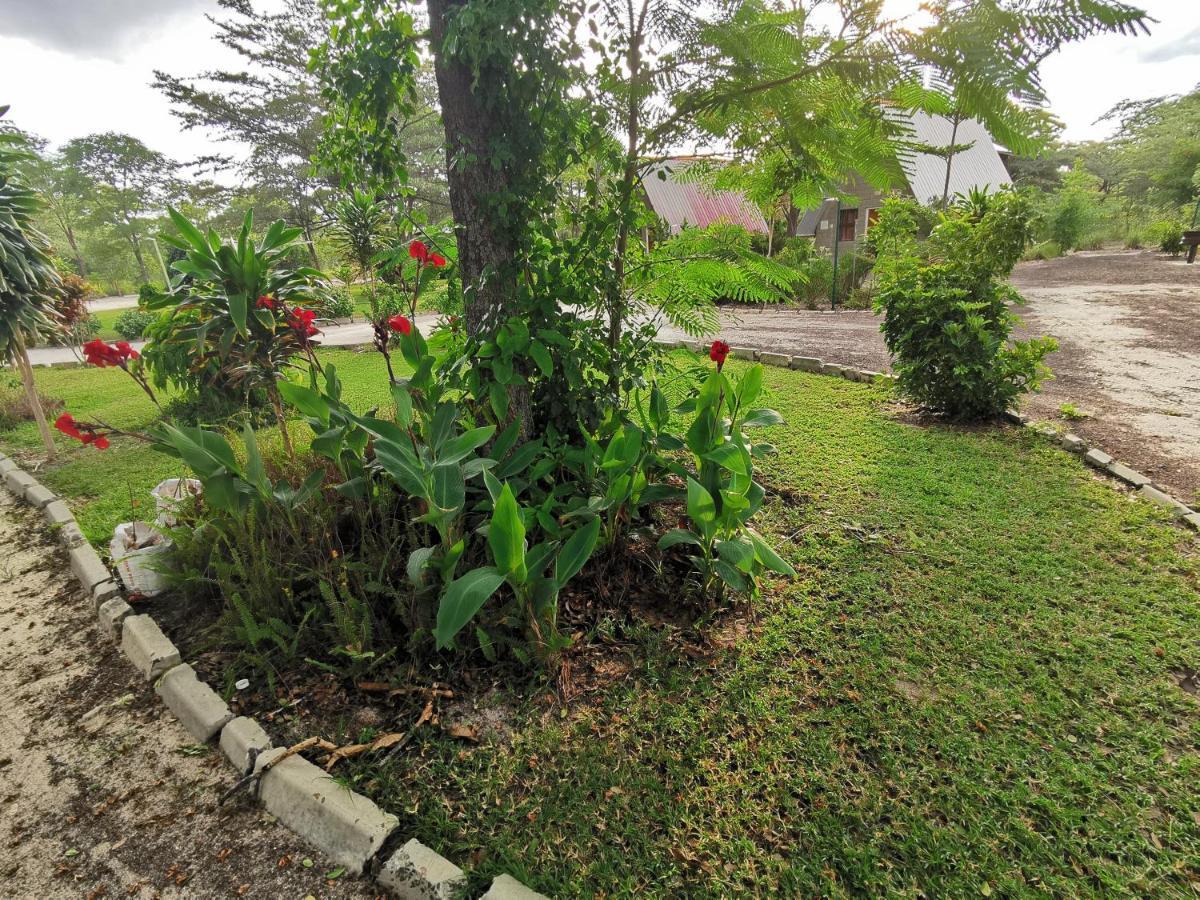 Happy Forest B&B Katima Mulilo Exteriér fotografie