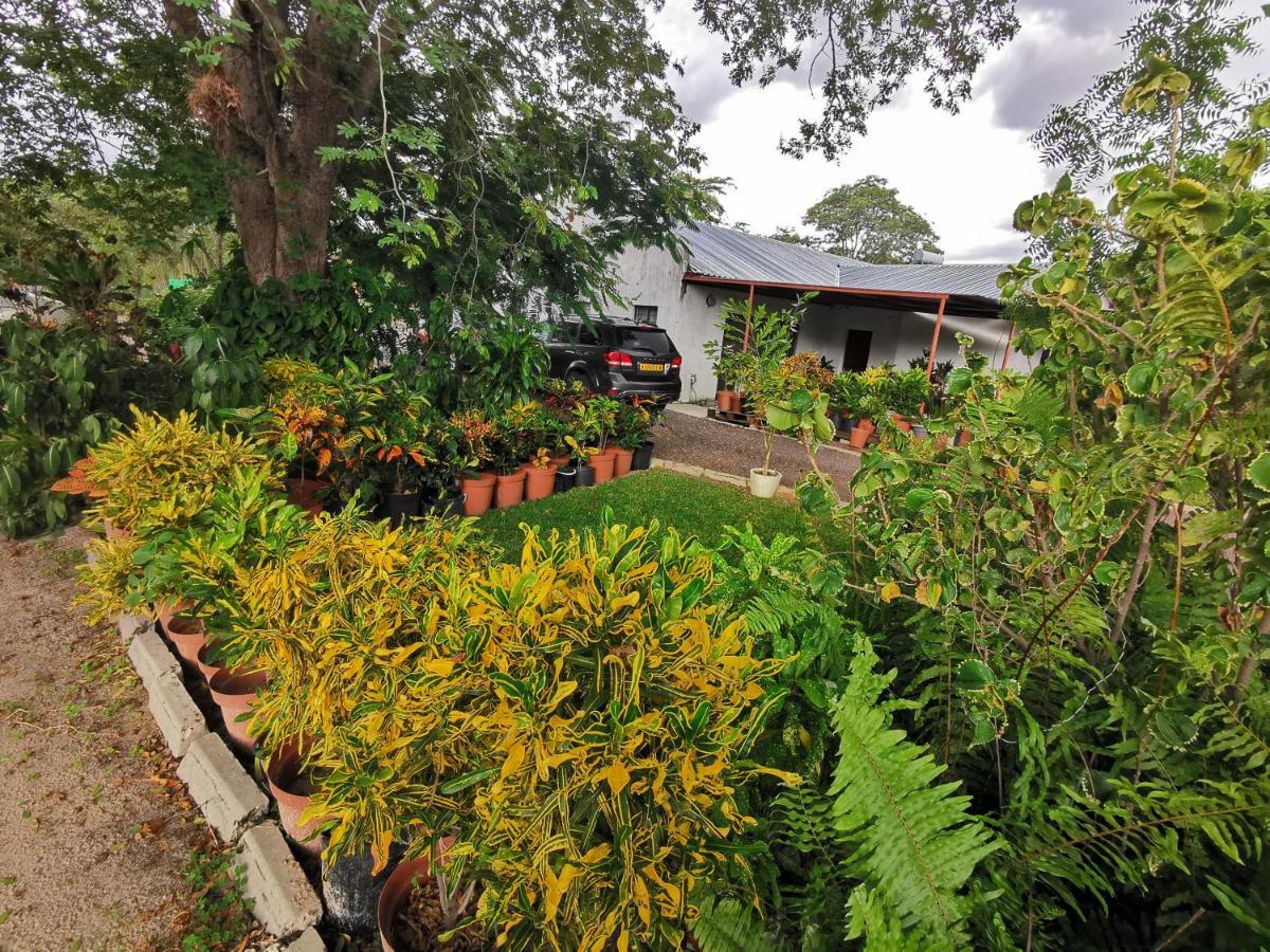 Happy Forest B&B Katima Mulilo Exteriér fotografie